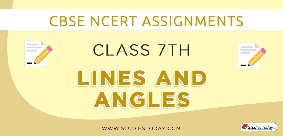 CBSE NCERT Assignments for Class 7 Lines and Angles