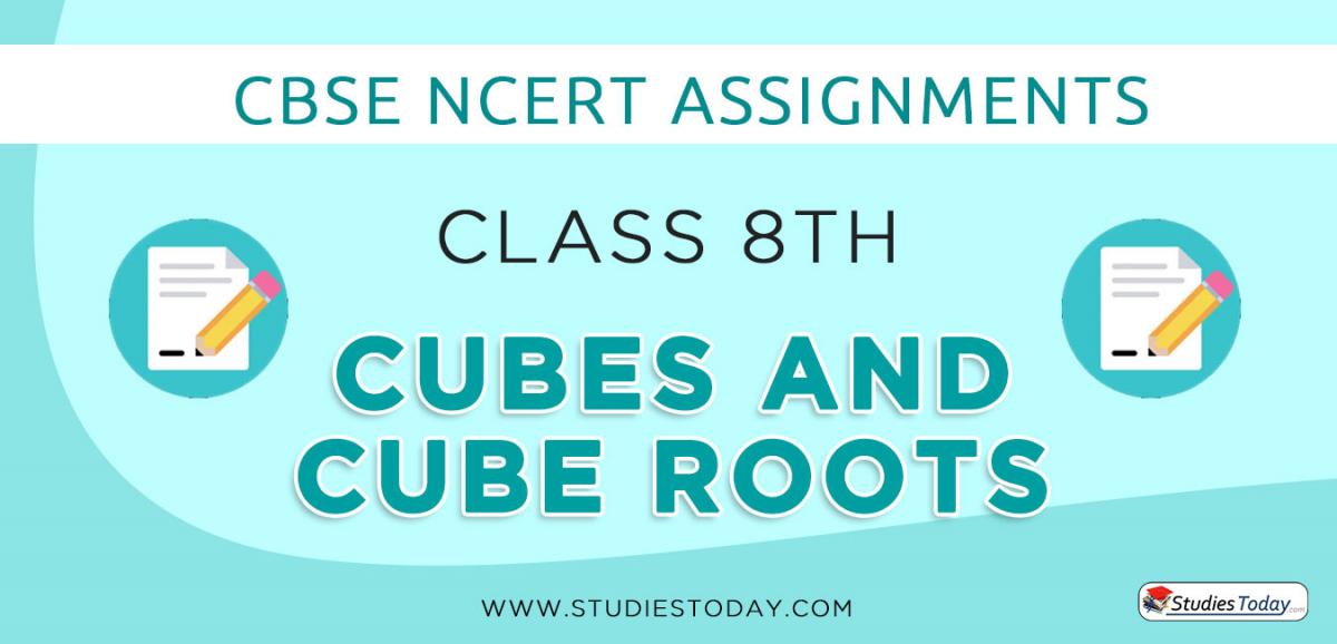 CBSE NCERT Assignments for Class 8 Cubes and Cube Roots