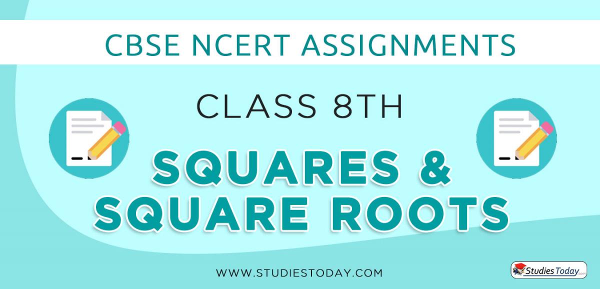 CBSE NCERT Assignments for Class 8 Squares and Square Roots
