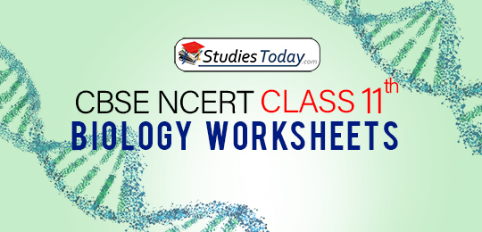CBSE NCERT Class 11 Biology Worksheets