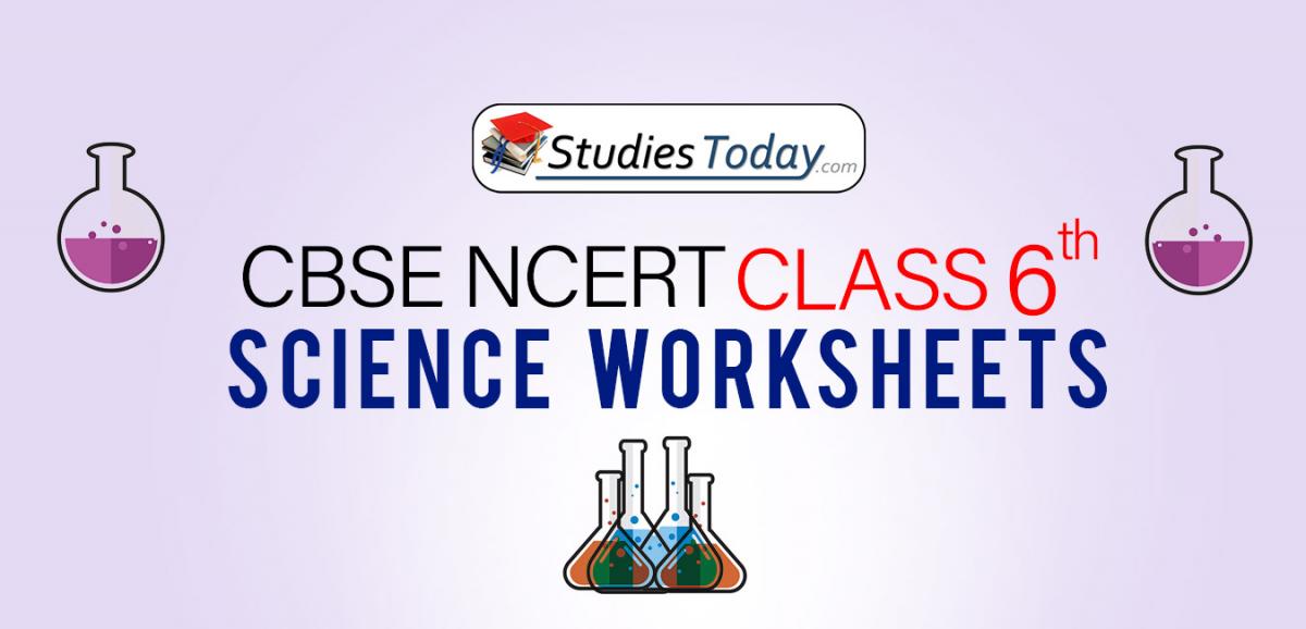 worksheets for class 6 science pdf download