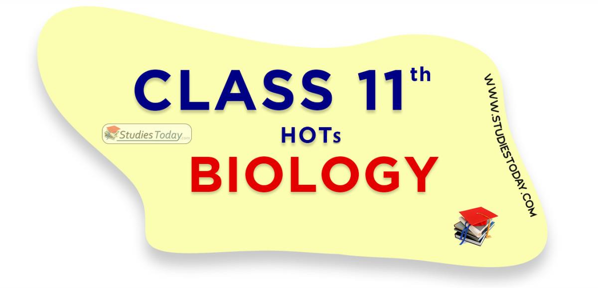 HOTs Questions Class 11 Biology