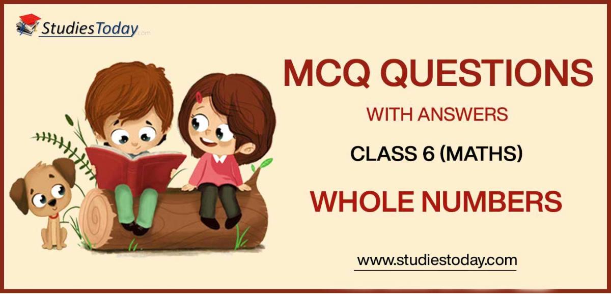 MCQs for Class 6 Whole Numbers