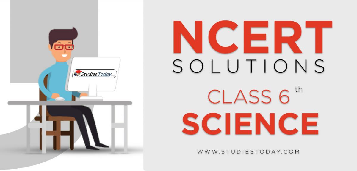 NCERT Solutions for Class 6 Science