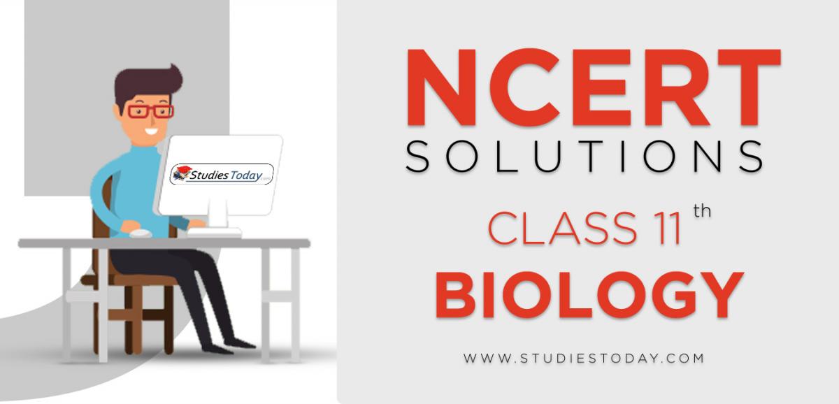 NCERT Solutions for Class 11 Biology