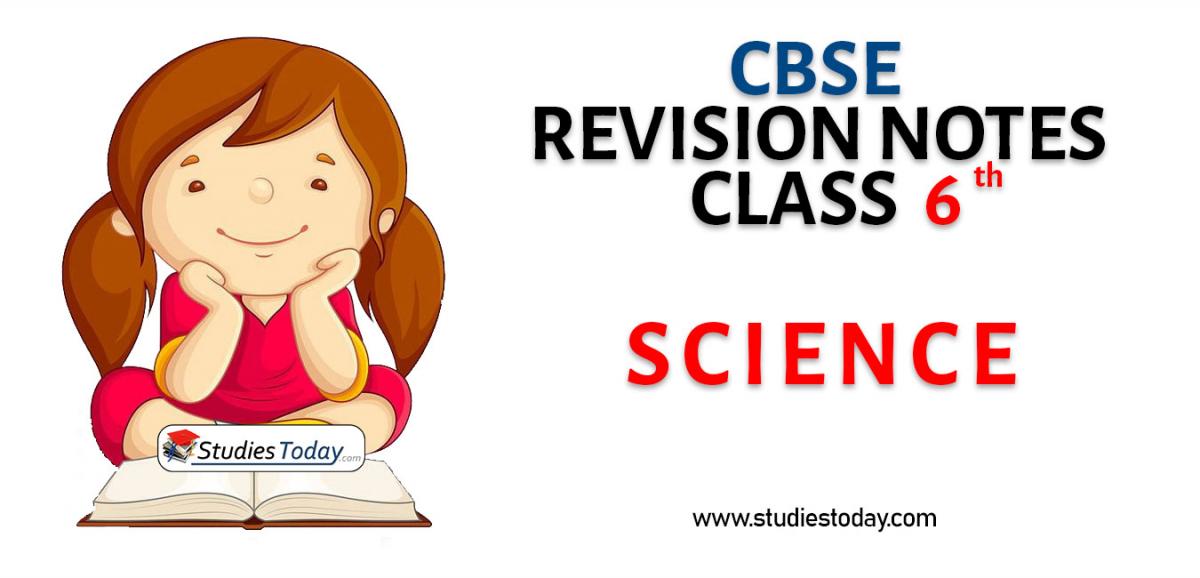 Revision Notes for CBSE Class 6 Science