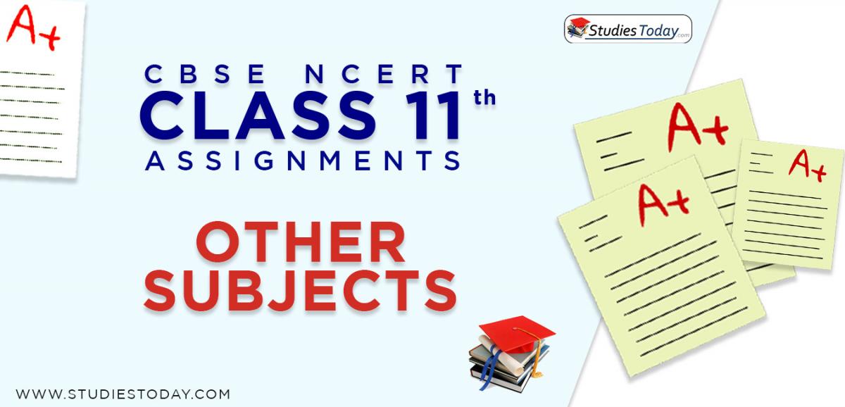 CBSE NCERT Assignments for Class 11 Other Subjects
