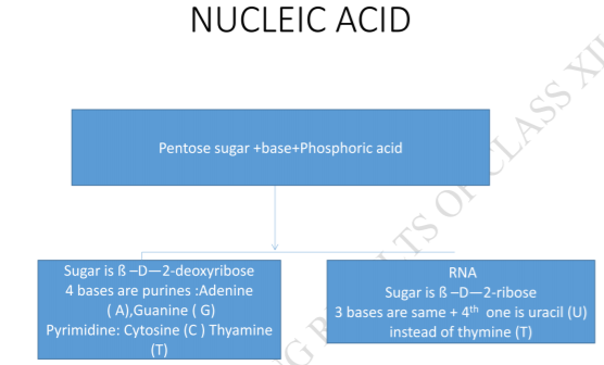 class_12-chemistry_concept_38