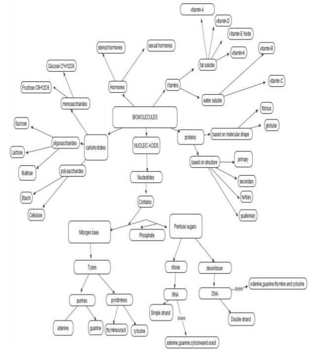 class_12_CHEMISTRY_concept_82.