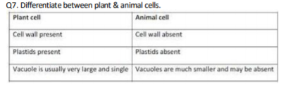 class_9_biology_concept_15