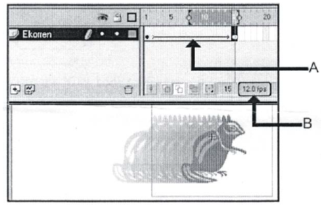 Multimedia_Web_Technologies