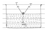 NEET_UG_physics_013