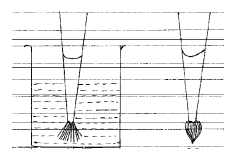 NEET_UG_physics_014