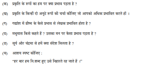 class_10_Hindi_Question_Paper_29a
