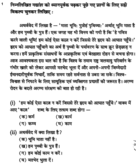 class_10_Hindi_Question_Paper_2