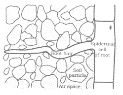 class_10_science_concept_0123