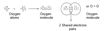 CBSE Class 10 Science Carbon And Its Compounds Notes