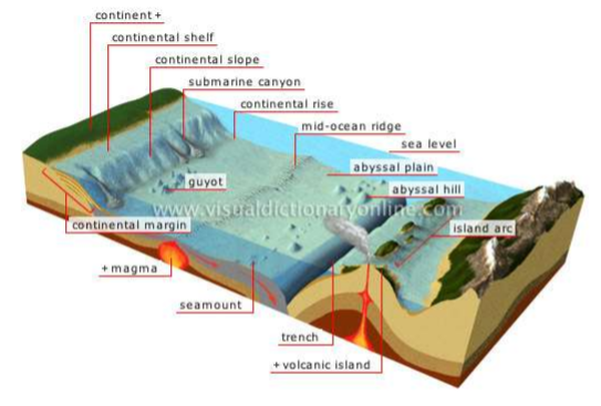 class_11_Geogeaphy_concept_11