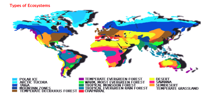 class_11_Geography_concept_34