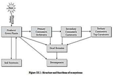 class_11_Geography_concept_35