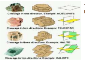 class_11_Geography_concept_40