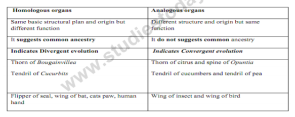 class_12-biology_concept_129