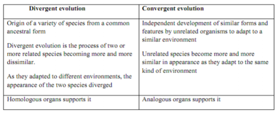 class_12-biology_concept_221