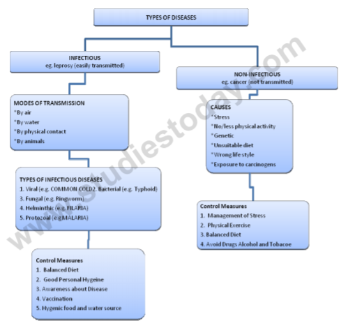 class_12-biology_concept_225