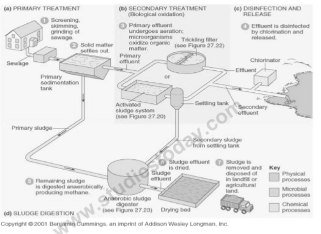 class_12-biology_concept_234