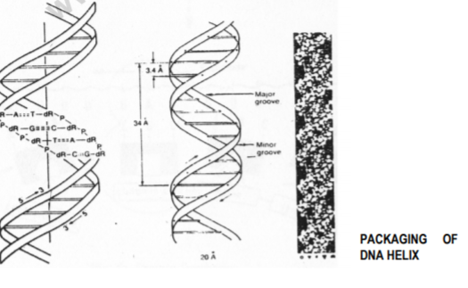 class_12-biology_concept_235