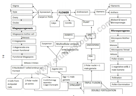 class_12-biology_concept_250