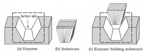 class_12-chemistry_concept_91