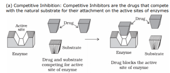 class_12-chemistry_concept_92