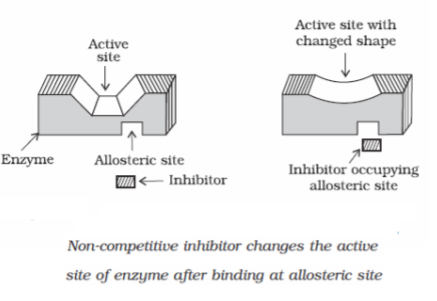 class_12-chemistry_concept_93