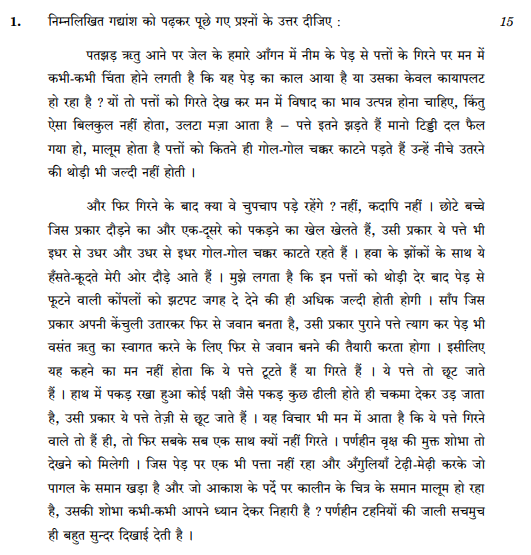 class_12_Hindi _Question_Paper_7