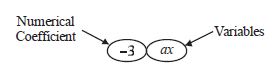 class_6_maths_concept_02