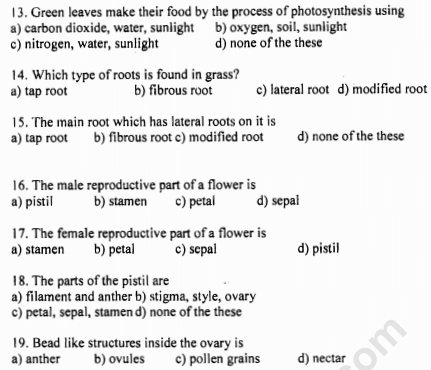 CBSE Class 6 Science Body Movements MCQs Set B, Multiple Choice