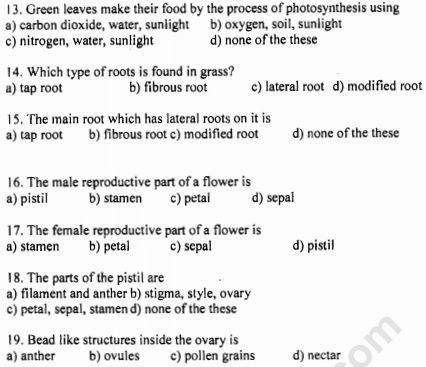 class_6_science_MCQs_4b