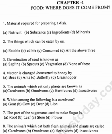 class_6_science_MCQs_9