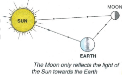 class_6_science_useful_029