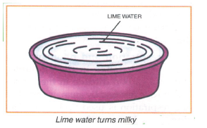 class_6_science_useful_05