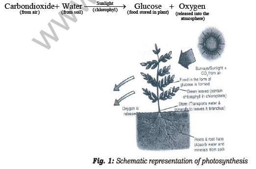 class_7_science_useful_047