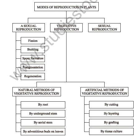 class_7_science_useful_048