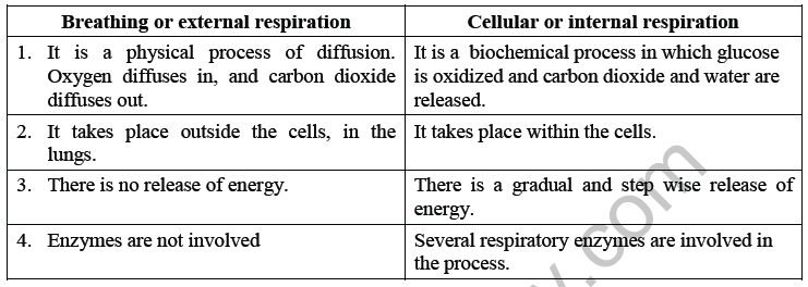Class 7 Science Respiration in Plants and Animals Chapter Notes