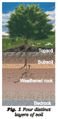 class_7_science_useful_053