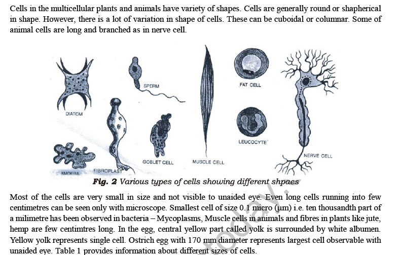 class_7_science_useful_09