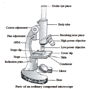 class_8_science_concept_038