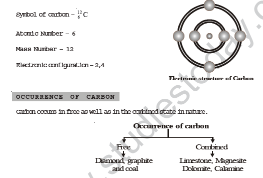 class_8_science_concept_04