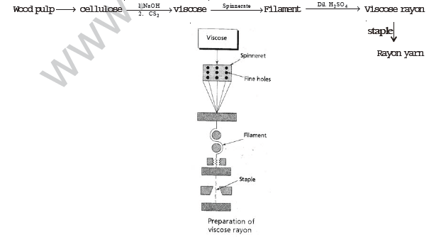 class_8_science_concept_050