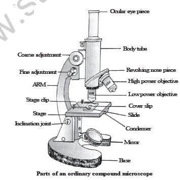 class_8_science_concept_08